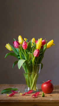 Tulips of different colors contain 86