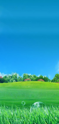 春天好美