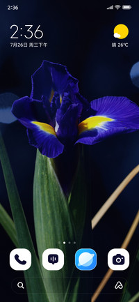Iris Dream