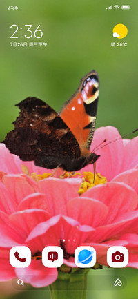 Garden Majesti