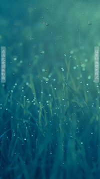 绿草
