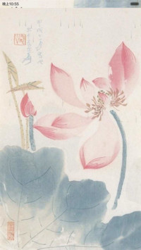 水墨莲花（锁屏特效+全图标）