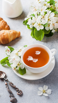 千年传雅韵唯有茶之道