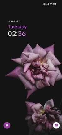 Blush Noir
