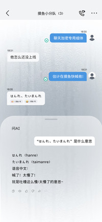 聊天加密专用细体
