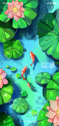 荷花池金鱼