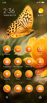 nature butterfly