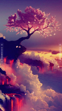 樱花仙境