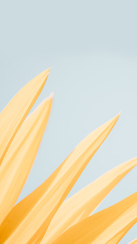 plant (2)