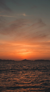 Nature B6 (32)