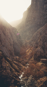 Nature B6 (26)