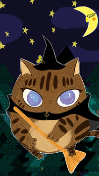 星光猫-【视觉中国】