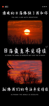 日落爱意未完待续