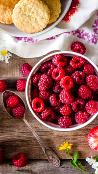 Fruit (6)