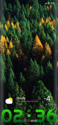 Pine two
