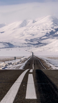Winter Snowfield