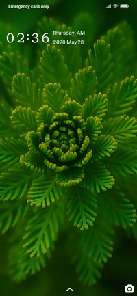 Simple green