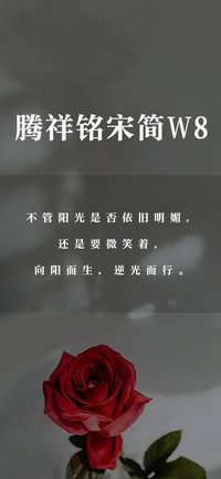 腾祥铭宋简W8