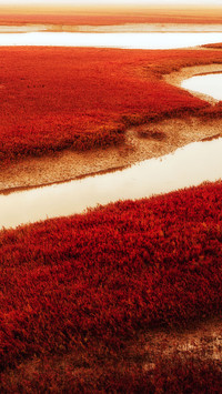 I got up at red beach in the morning
