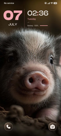 Pink Piglet
