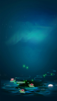 夏夜·荷韵