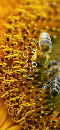 Bees