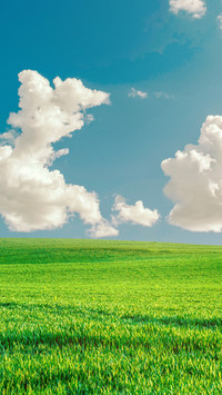 Green eye protection prairie wallpaper