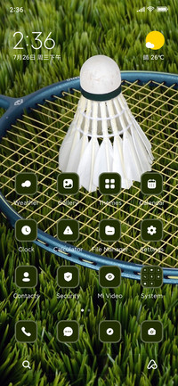 Badminton