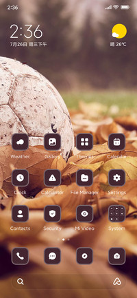 Football
