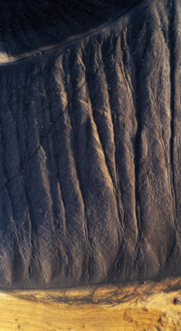 Beauty of Earth 1 (37)