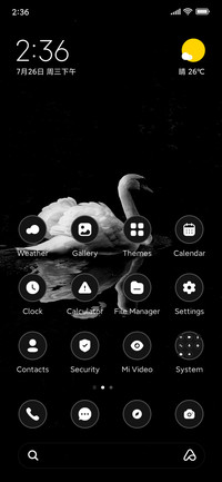 Dark Swan