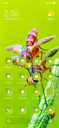 Green Insects