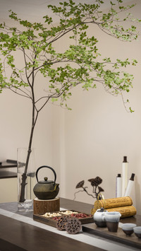 Cold knowledge about white tea 19