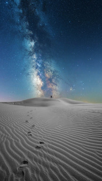 Professional photographers to teach you take 7