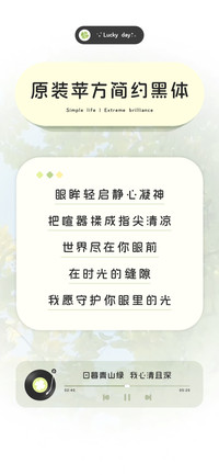 原装苹方简约黑体
