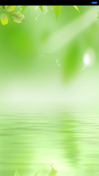 绿色（护眼）