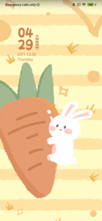 Super Carrot Bunny