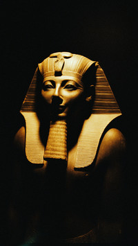 Seven major scams in world history 6
