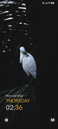 Palm Heron