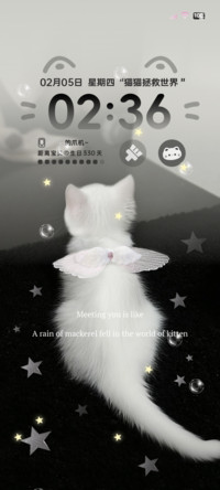 星耀元气小奶猫