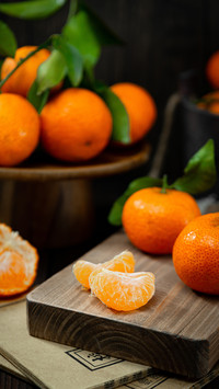 Introduction to the Nutrition of the Citrus Family 3