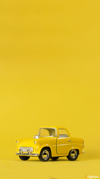car (8)