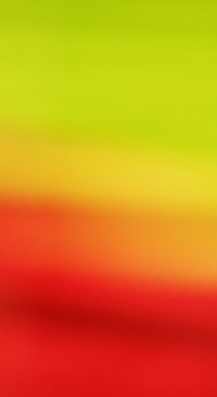 Rich Colors (16)