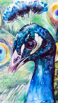 百鸟鸣集水彩画-拍信图库