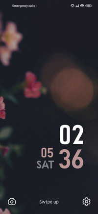 Flower Bulb