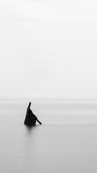 Black and White Photography Art