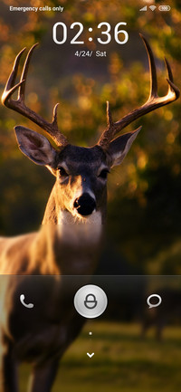 Deer to