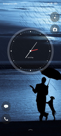 rain pet