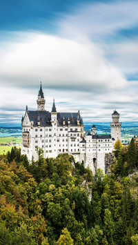 New Swan Castle 17