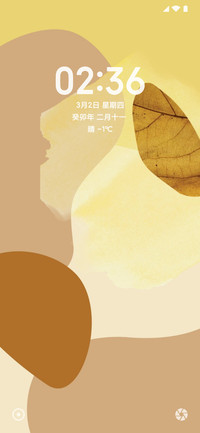 Android L Pro